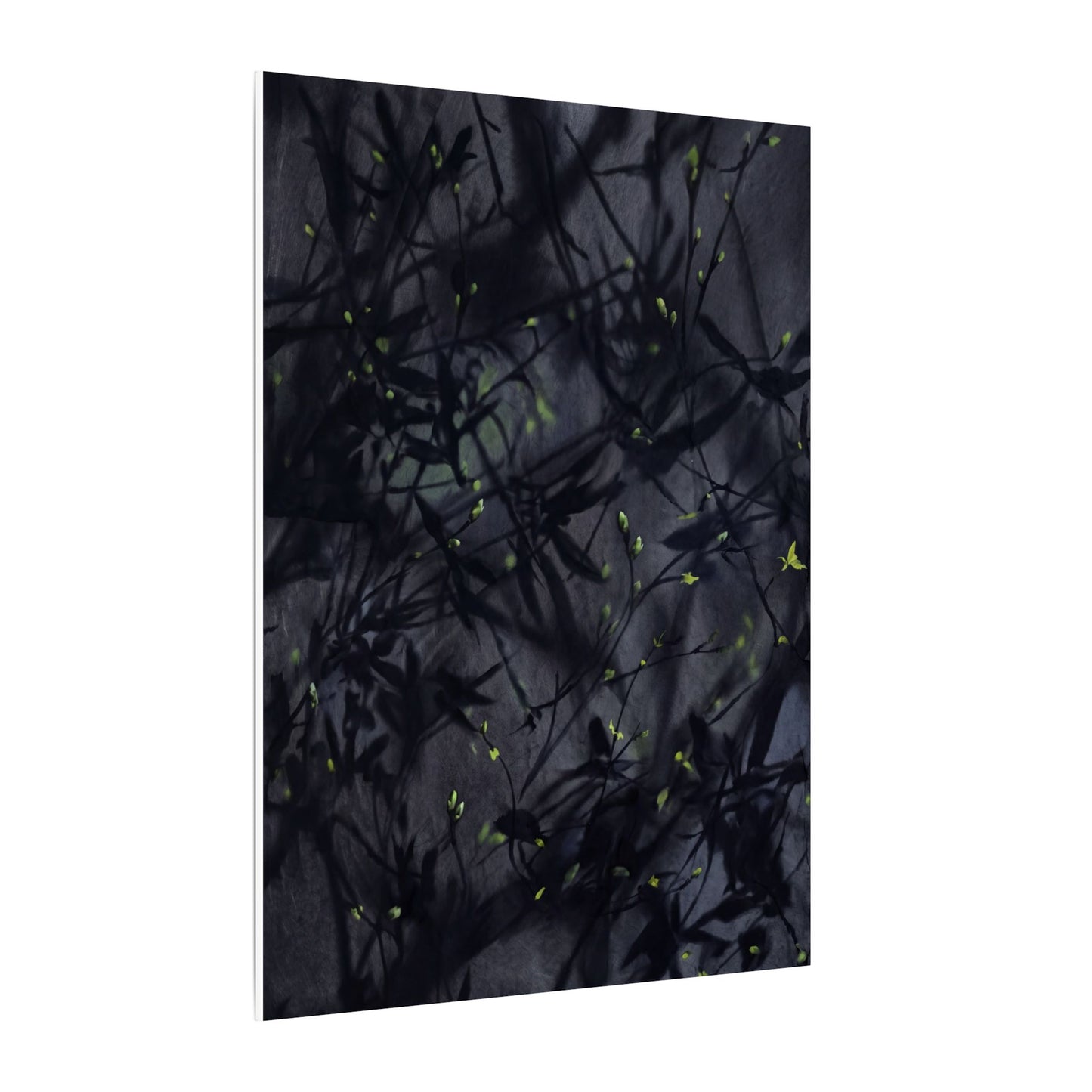 Shadow Play Spring Canvas Art | Dark Japandi Atmospheric Design
