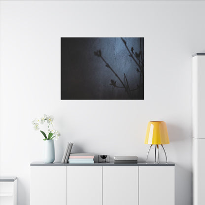 Shadow Play Canvas Art | Spring Dark Japandi Moody Minimal Art