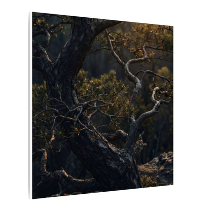 Moody Pine Tree Canvas Art - Moody Minimal Dark Japandi