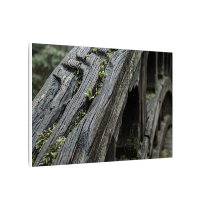 Overcast Wooden Bridge Canvas Art - Japandi Kanso