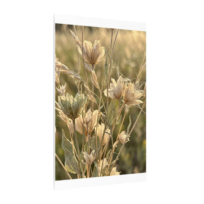 Summer Dried Flowers Minimal Line Canvas Art | Cozy Decor
