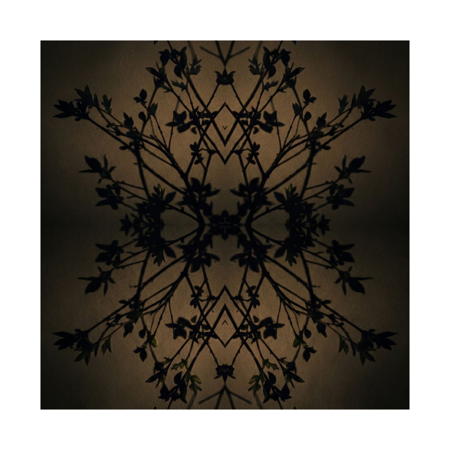 Shadow Play Wall Art Print | Spring Dark Japandi Shadow Zen Art