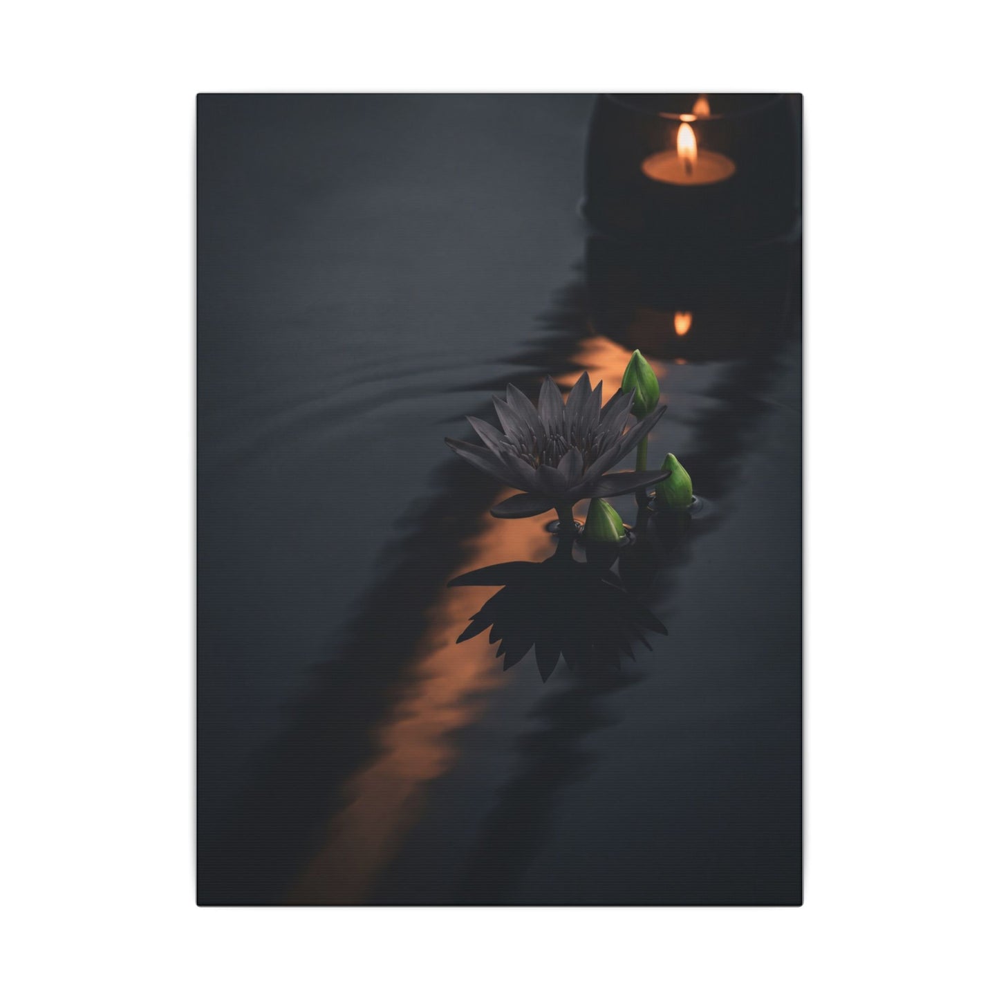 Seijaku Lotus Flower Canvas Art - Dark Japandi Shadow Zen
