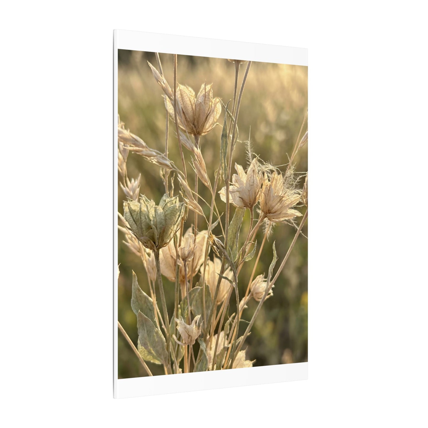 Summer Dried Flowers Minimal Line Canvas Art | Cozy Decor
