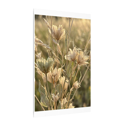 Summer Dried Flowers Minimal Line Canvas Art | Cozy Decor