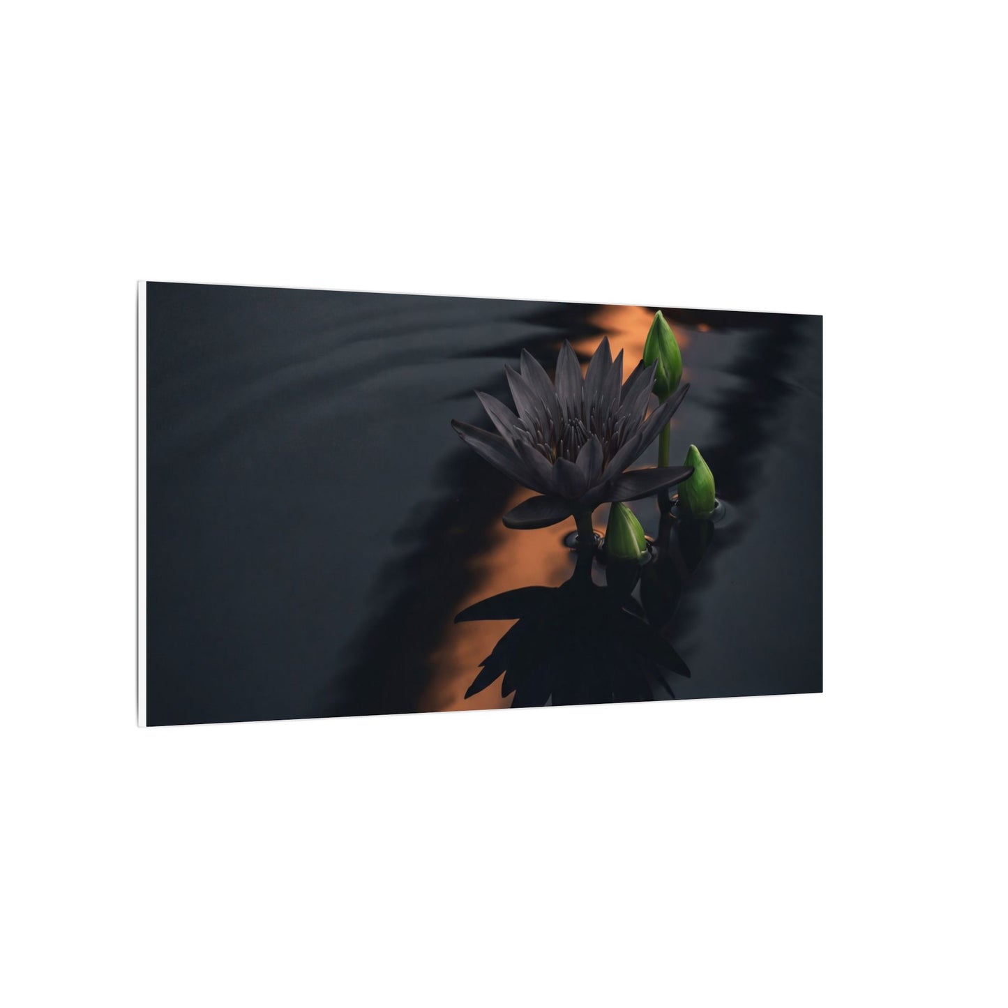 Seijaku Lotus Flower Canvas Art - Dark Japandi Shadow Zen