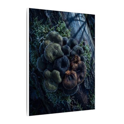 Wild Mushrooms Moody Minimal Canvas Art | Moody Dark Japandi Art