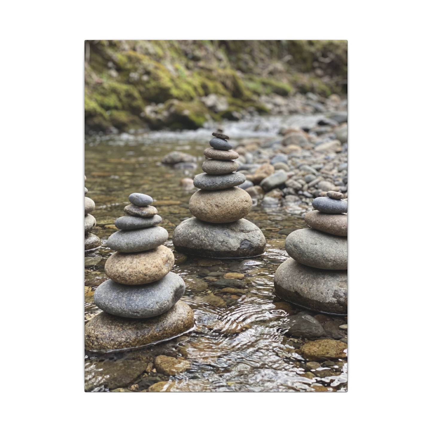 Bamboo Grove Winter Canvas Art | Zen Serene Design