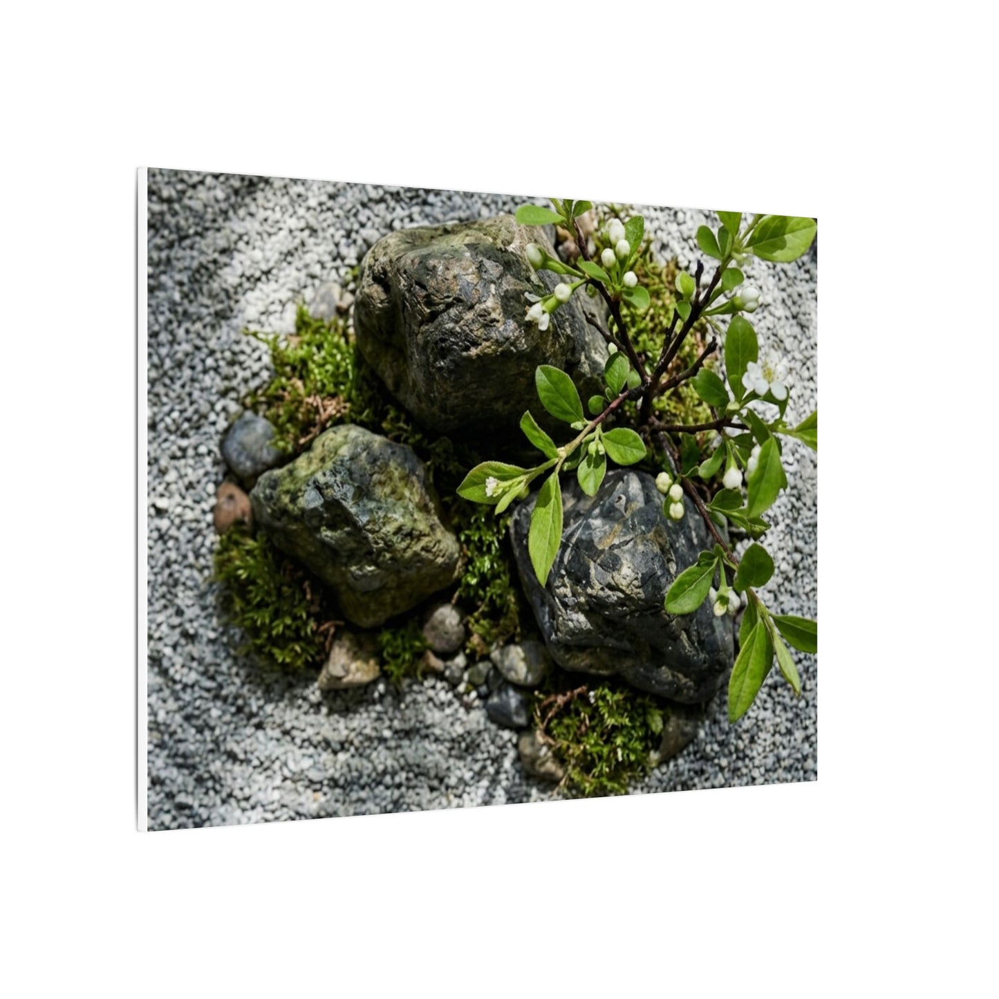 Zen Ceramic Bowl in Dappled | Karesansui Canvas Art