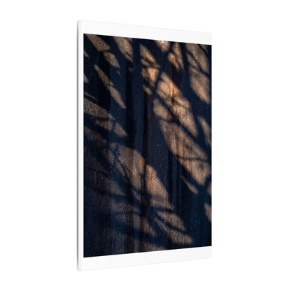 Dark Japandi Shadow Play in Golden Hour | Shadow Zen Canvas Art