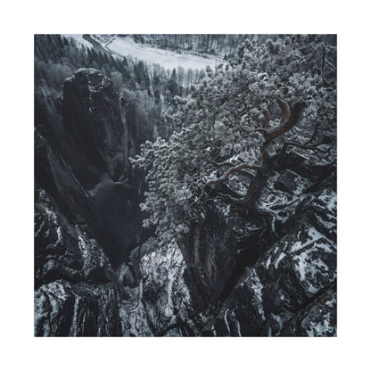 Dark Japandi Pine Tree in Dappled | Dark Texture Canvas Art