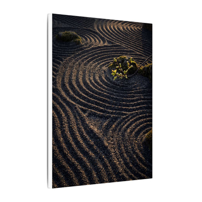 Spring Rock Garden Shadow Zen Canvas Art | Atmospheric Decor