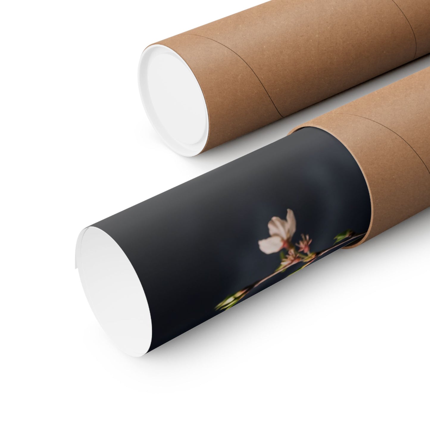 Dappled Cherry Blossom Wall Art Print - Dark Japandi Ma