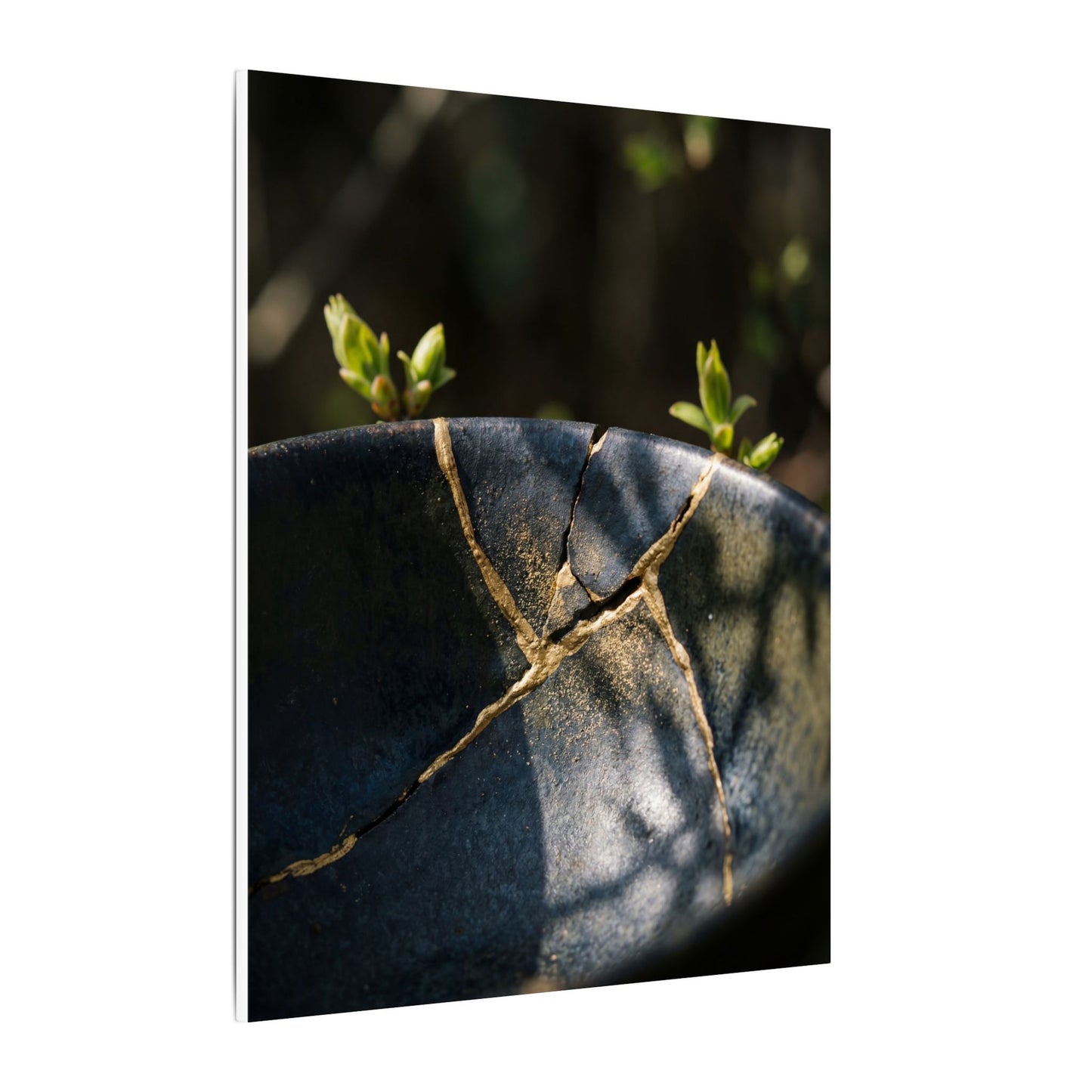 Seijaku Broken Pottery Canvas Art - Dark Japandi Shadow Zen