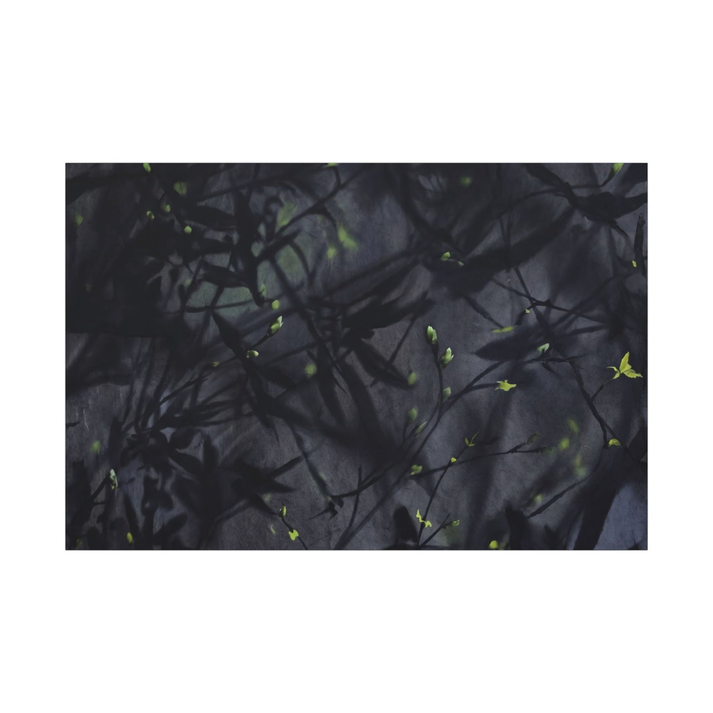 Shadow Play Spring Canvas Art | Dark Japandi Atmospheric Design