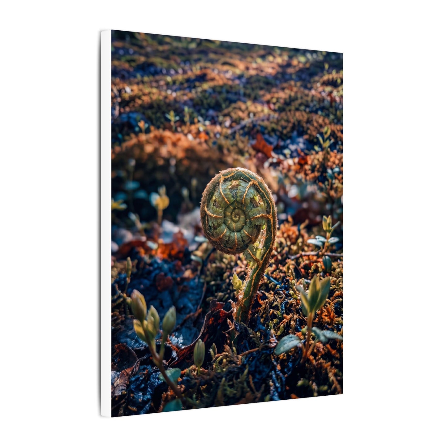 Kintsugi Fern Unfurling in Dappled | Gold Vein Canvas Art