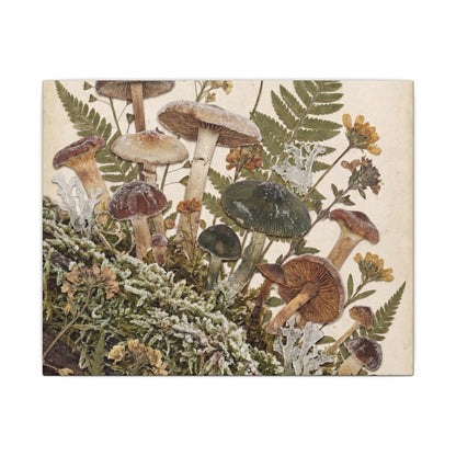 Winter Wild Mushrooms Herbarium Canvas Art | Enchanting Decor