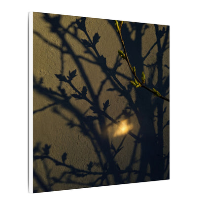 Bold Shadow Play Canvas Art - Moody Minimal Dark Japandi