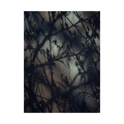 Spring Shadow Play Moody Minimal Wall Art Print | Sophisticated Decor
