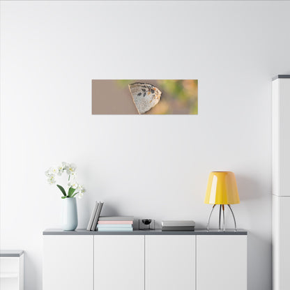 Ceramic Bowl Canvas Art | Spring Japandi Japanese Pattern Art