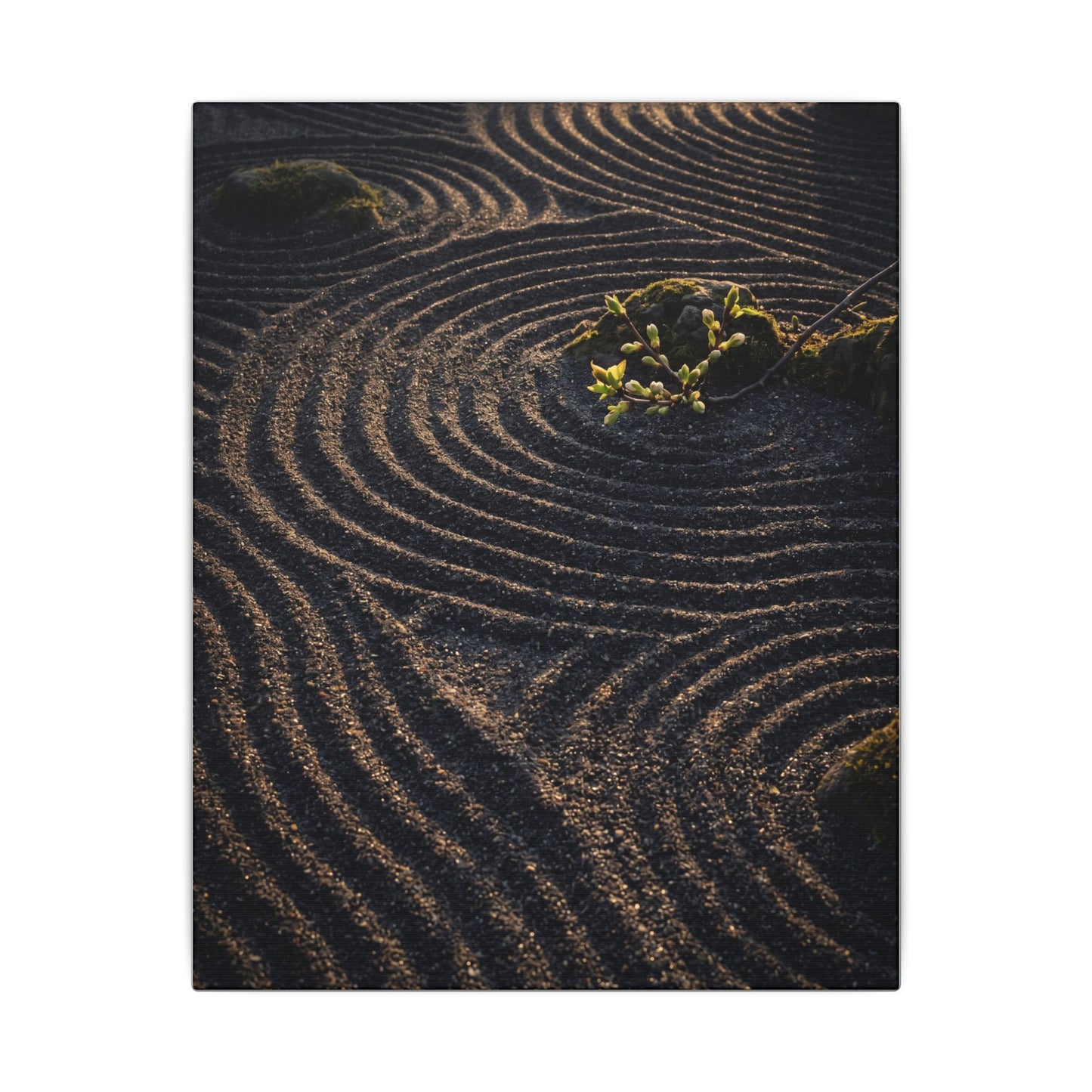 Spring Rock Garden Shadow Zen Canvas Art | Atmospheric Decor