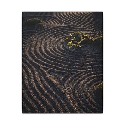 Spring Rock Garden Shadow Zen Canvas Art | Atmospheric Decor