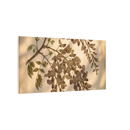 Spring Wisteria Herbarium Canvas Art | Earthy Decor