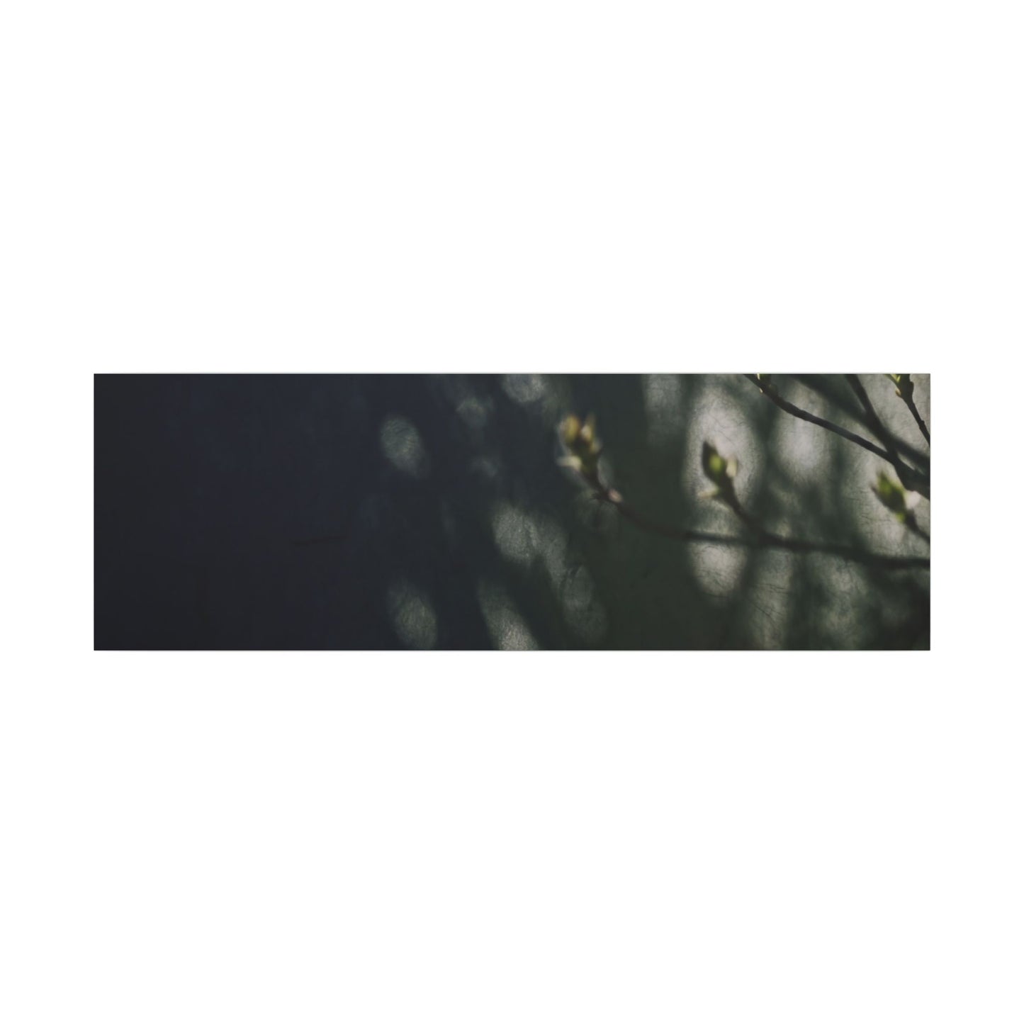Dark Japandi Shoji Screen in Dappled | Moody Minimal Canvas Art