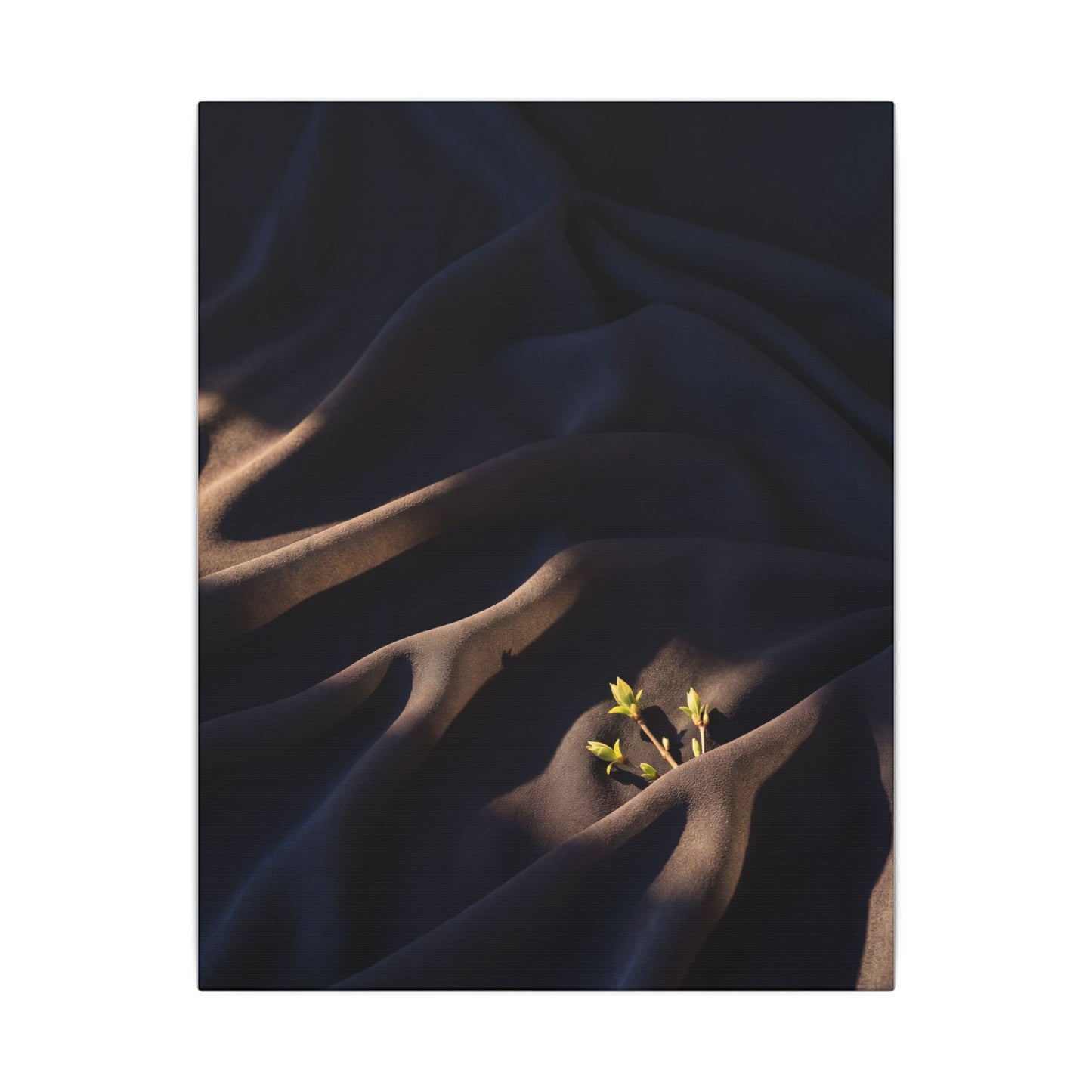 Silk Drape Shadow Zen Canvas Art | Luxurious Dark Japandi Art