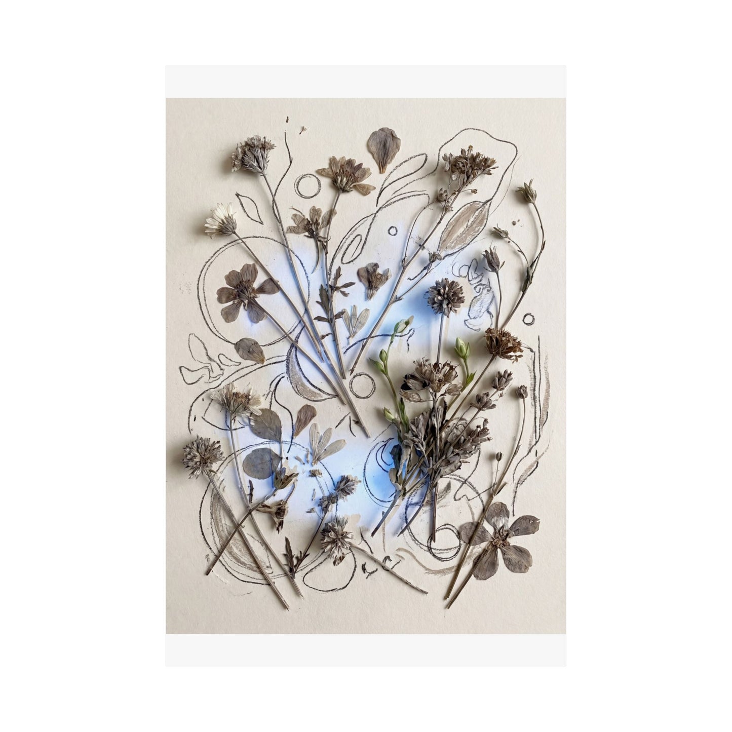 Neutral Dried Flowers Wall Art Print - Minimal Line Japandi