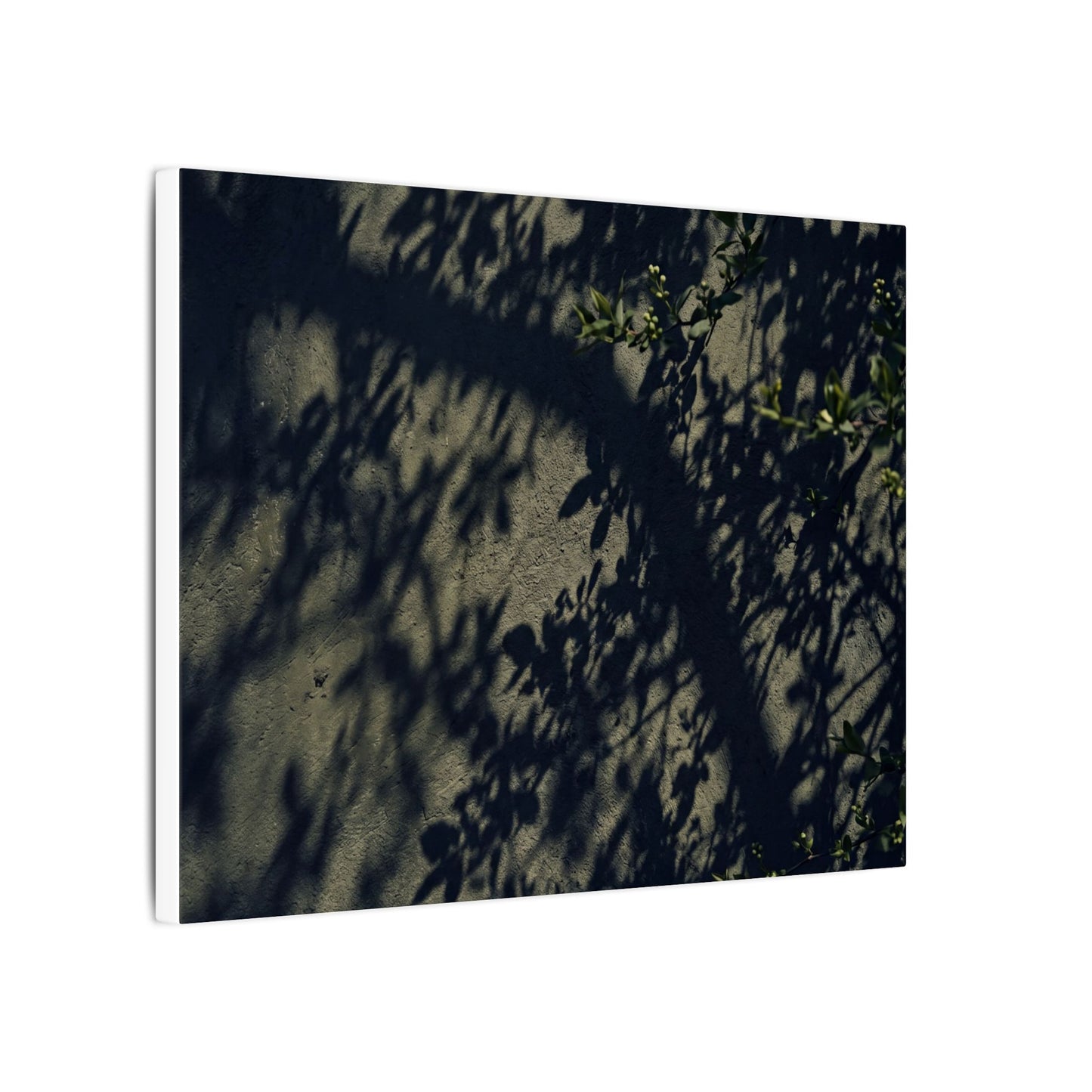 Atmospheric Shadow Play Canvas Art - Moody Minimal Dark Japandi