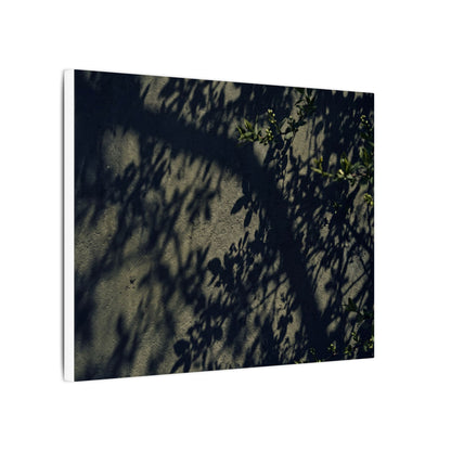 Atmospheric Shadow Play Canvas Art - Moody Minimal Dark Japandi