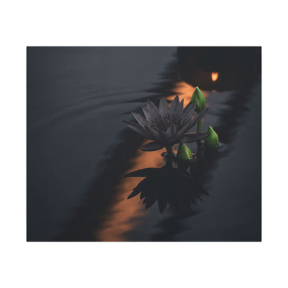 Seijaku Lotus Flower Canvas Art - Dark Japandi Shadow Zen