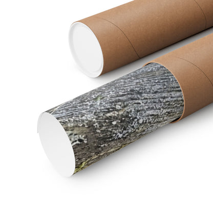 Kanso Ceramic Bowl Wall Art Print - Japandi Japanese Pattern