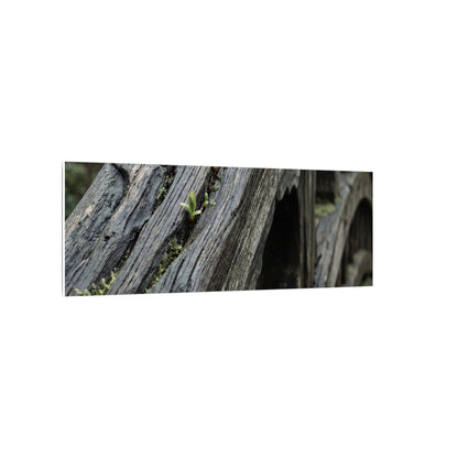 Overcast Wooden Bridge Canvas Art - Japandi Kanso