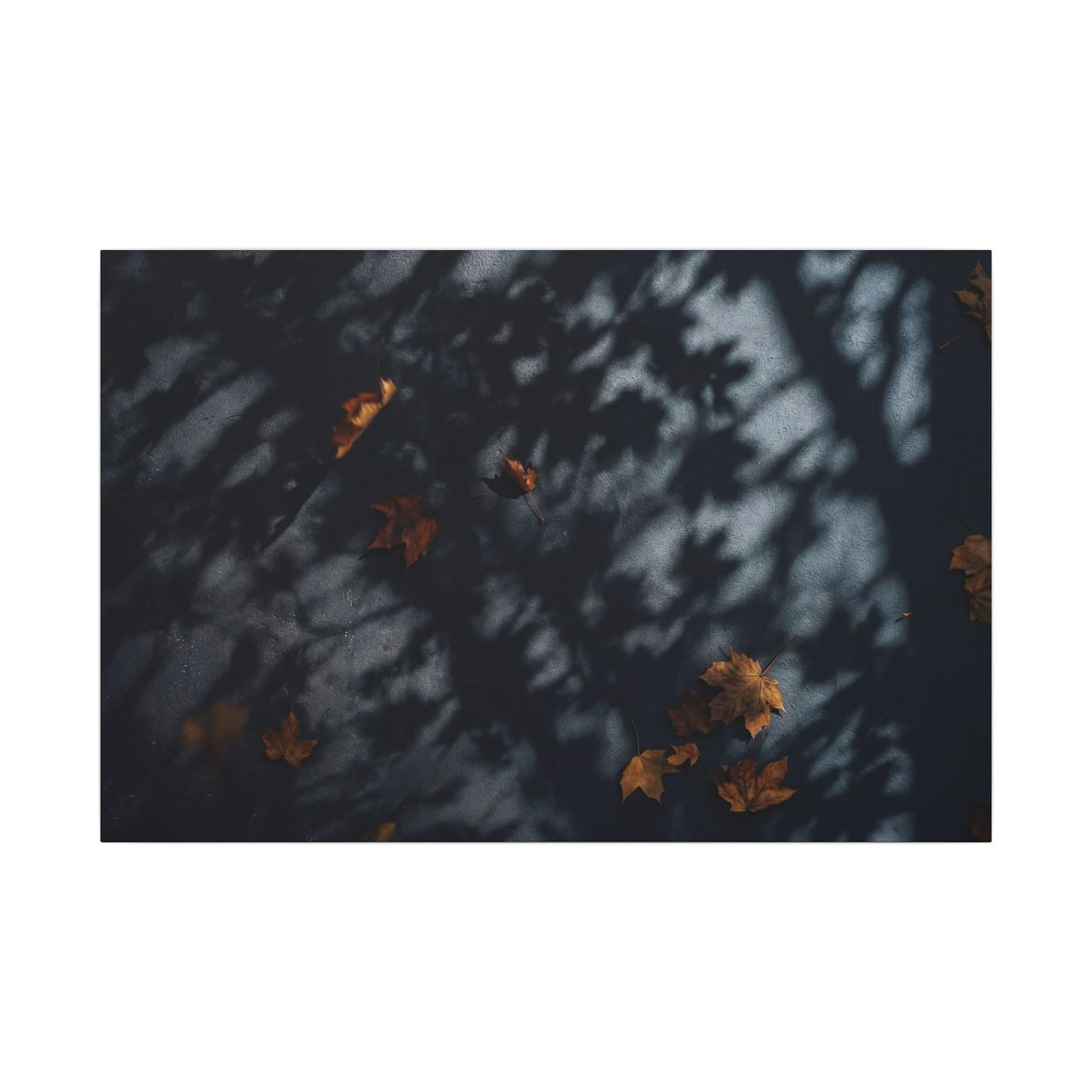 Autumn Shadow Play Shadow Zen Canvas Art | Atmospheric Decor Art Print