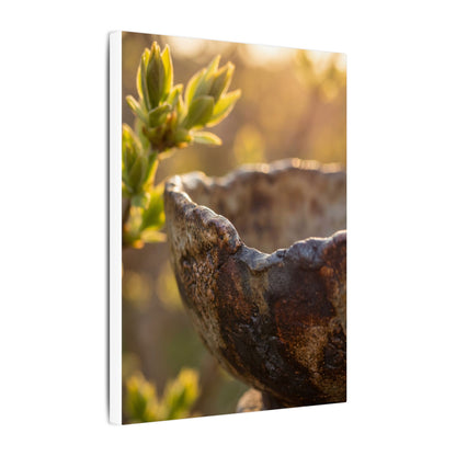 Golden Hour Ceramic Bowl Canvas Art - Dark Japandi Ma