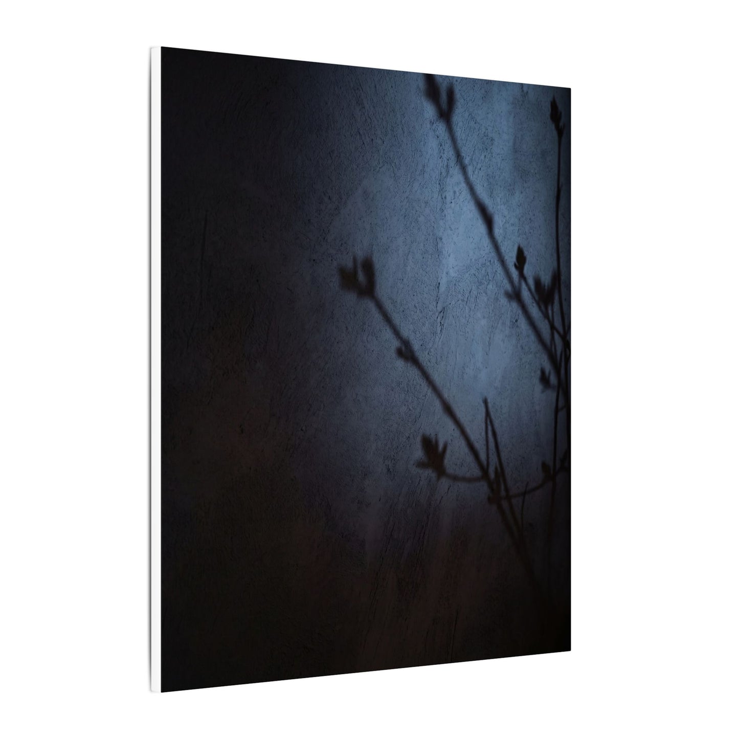 Shadow Play Canvas Art | Spring Dark Japandi Moody Minimal Art