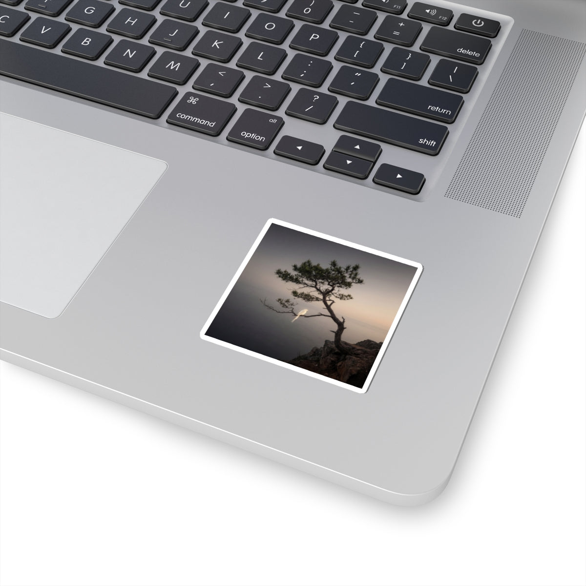 Dark Japandi Pine Tree in Dawn | Moody Minimal Sticker