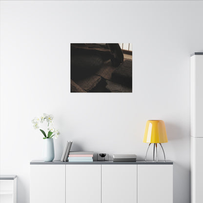 Dark Japandi Shadow Zen Canvas Art