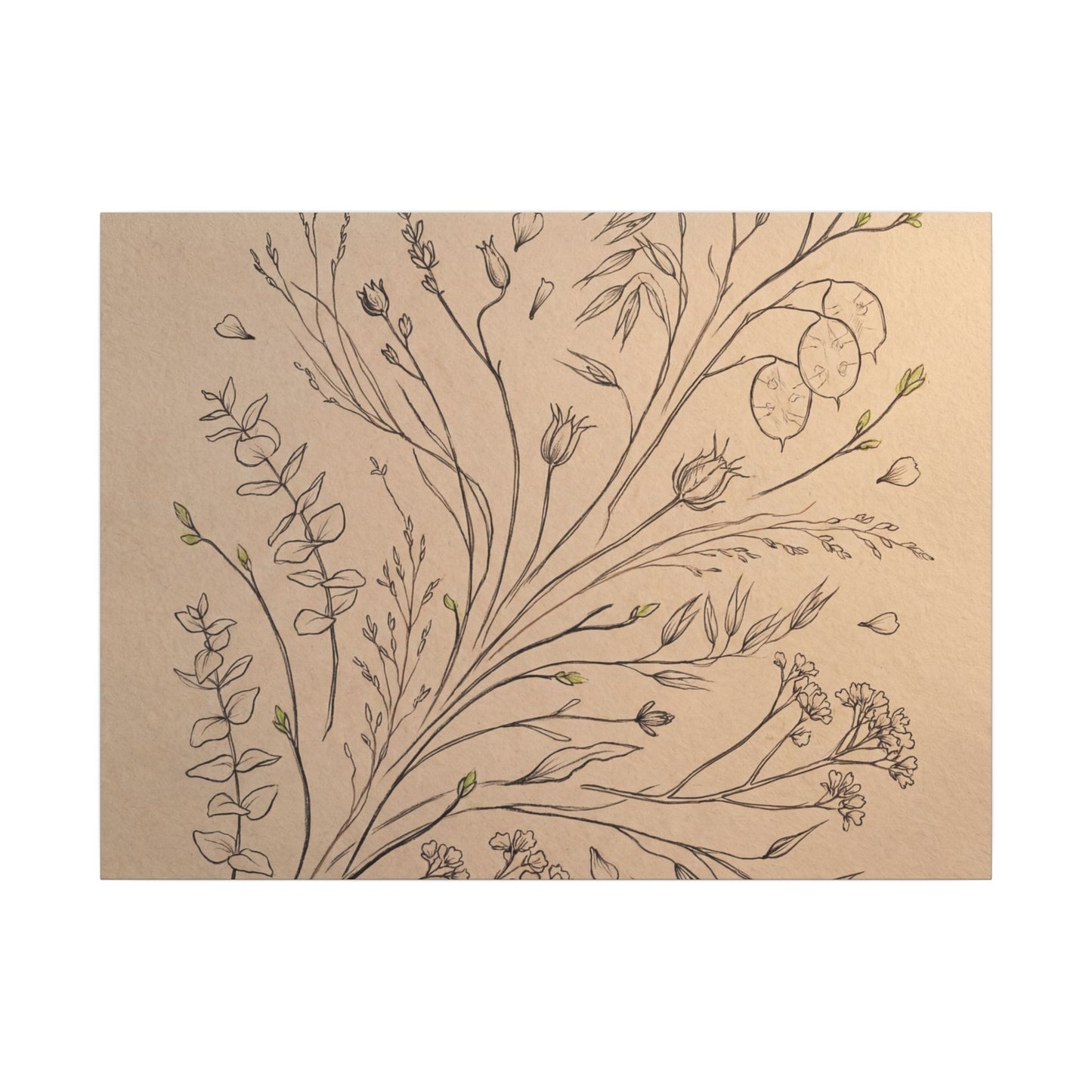 Japandi Dried Flowers in Golden Hour | Minimal Line Canvas Art Art Print