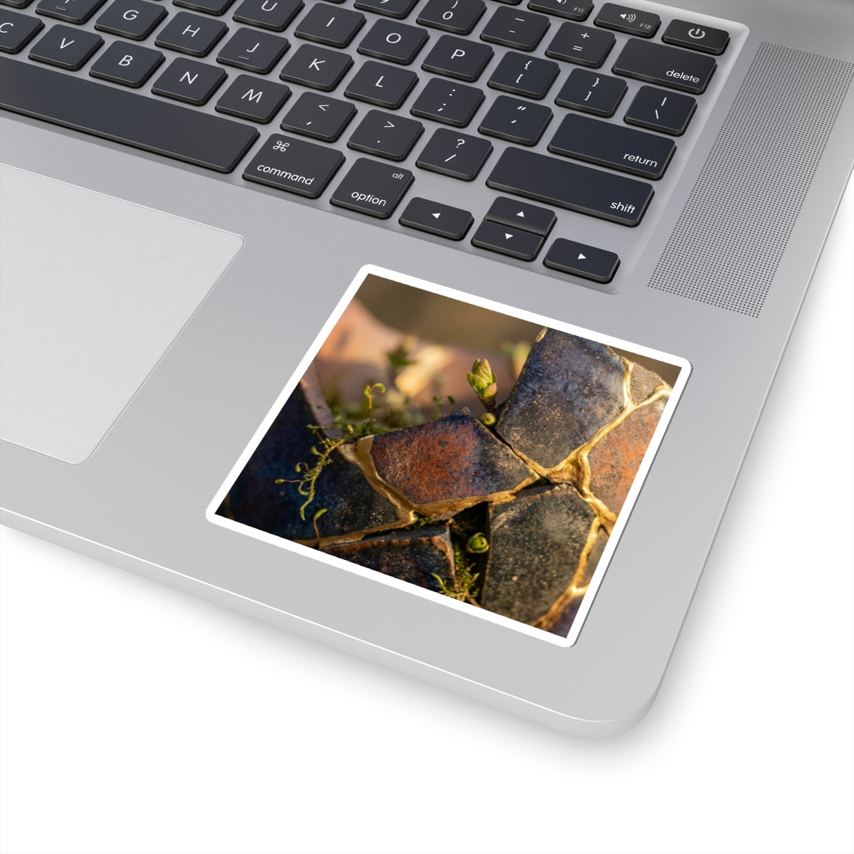 Kintsugi Broken Pottery in Golden Hour | Gold Vein Sticker
