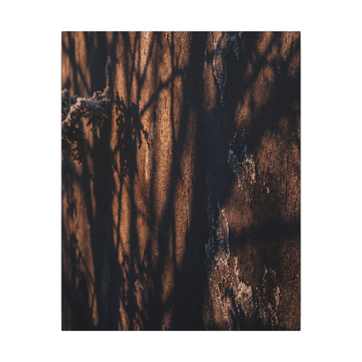 Golden Hour Shadow Play Canvas Art - Dark Japandi Fukinsei