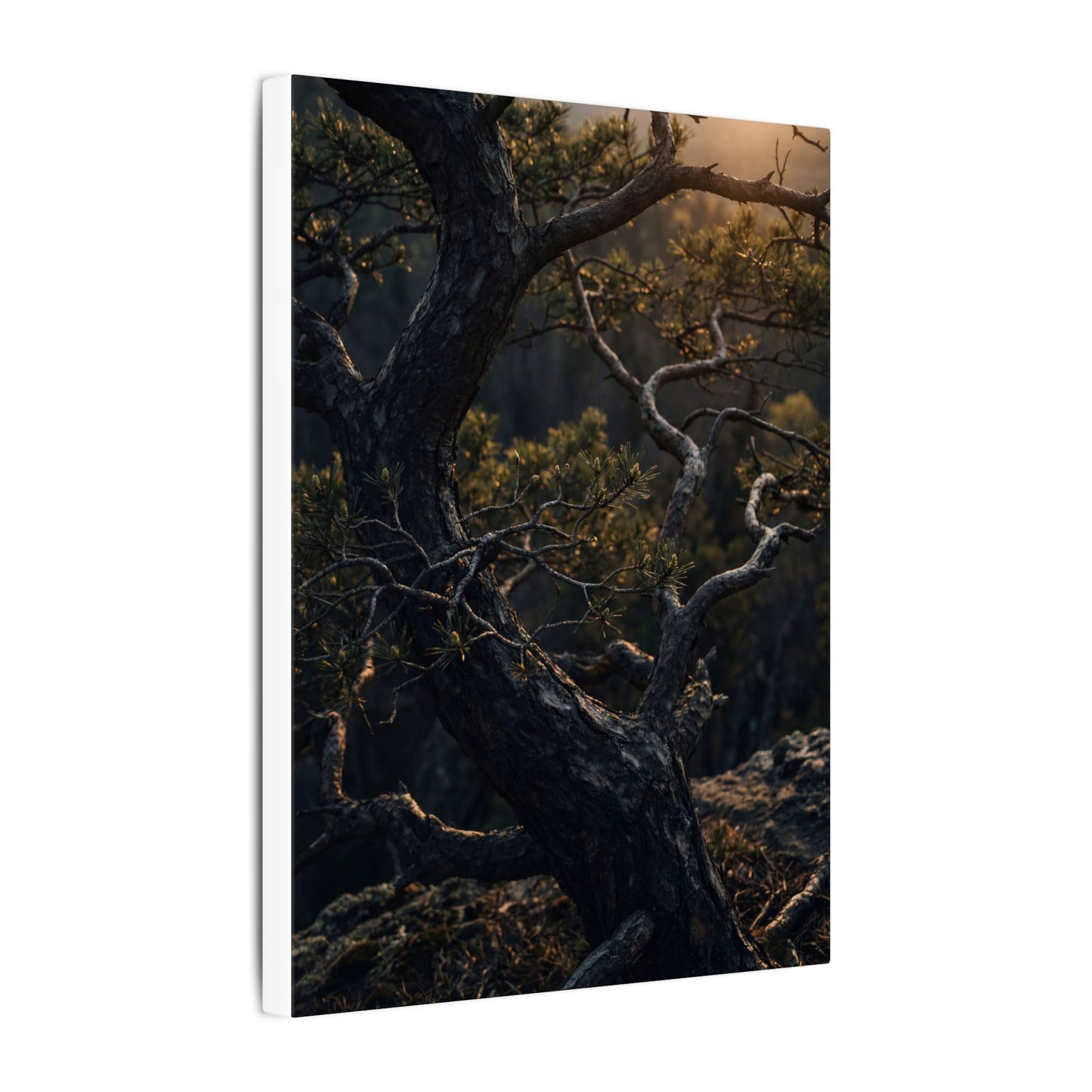 Moody Pine Tree Canvas Art - Moody Minimal Dark Japandi