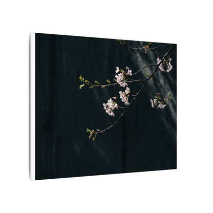 Cherry Blossom Spring Canvas Art | Dark Japandi Sophisticated Design