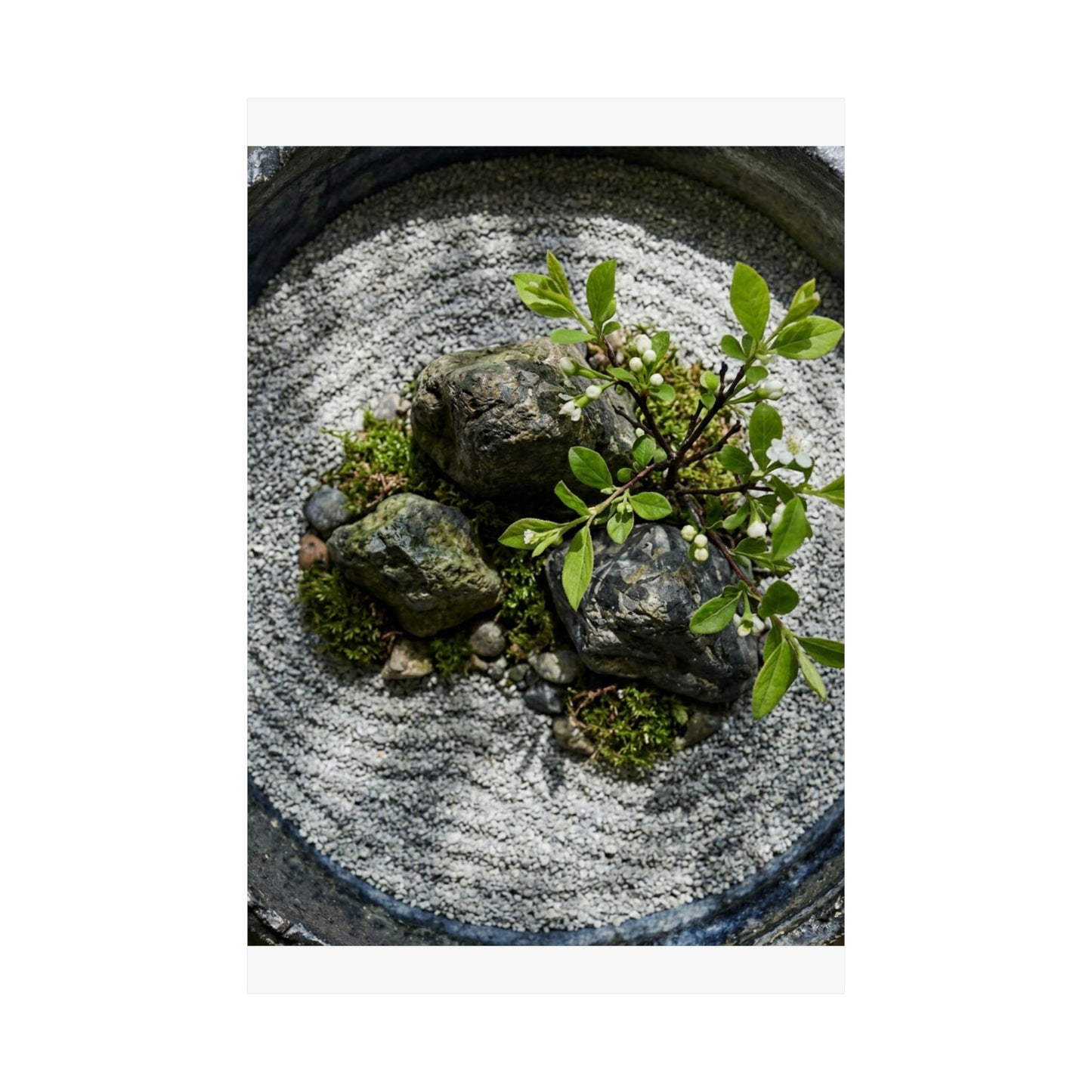 Ceramic Bowl Spring Wall Art Print | Zen Tranquil Design