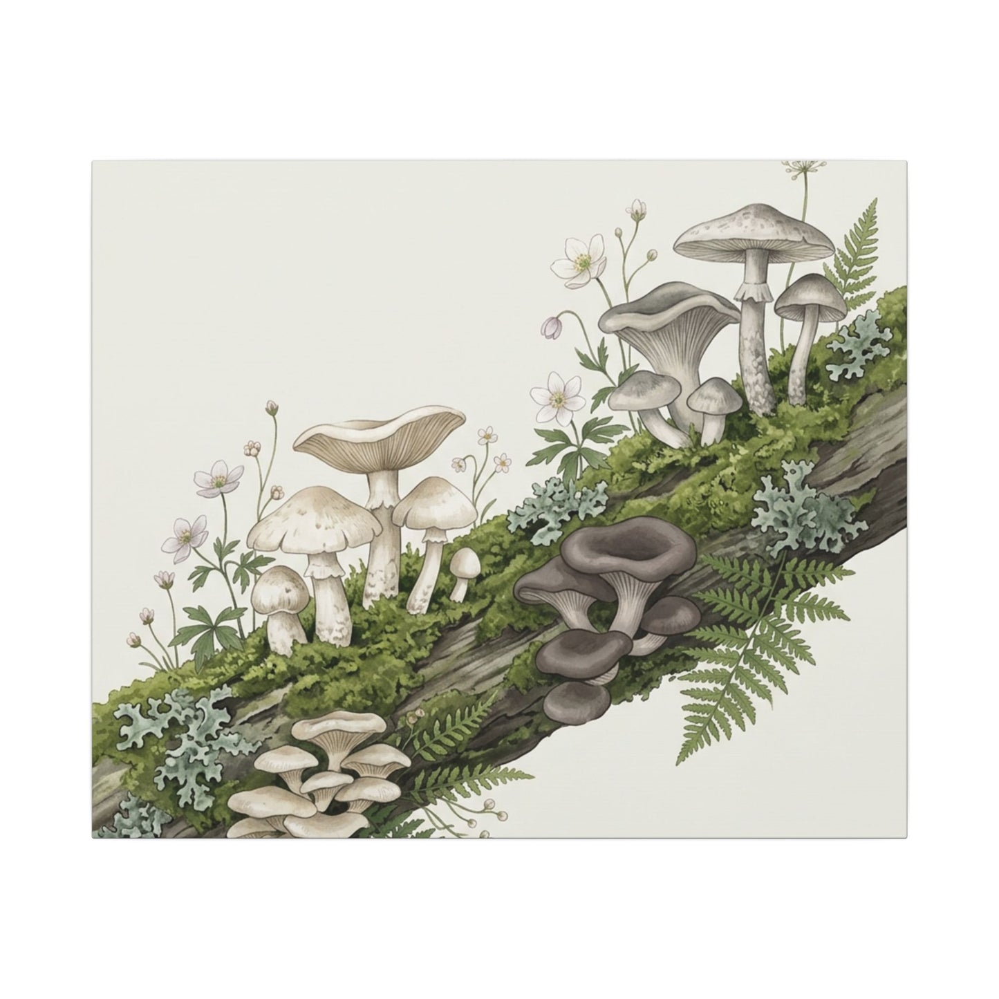 Dappled Wild Mushrooms Canvas Art - Japandi Ma