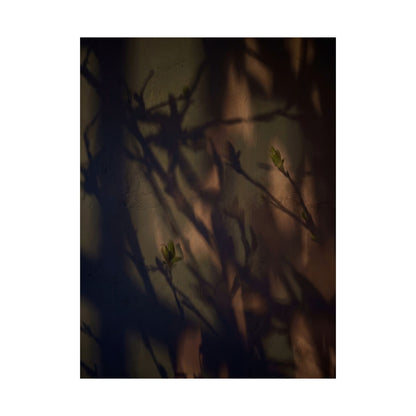 Shadow Play Spring Wall Art Print | Dark Japandi Sophisticated Design