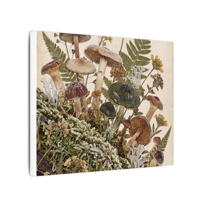 Winter Wild Mushrooms Herbarium Canvas Art | Enchanting Decor