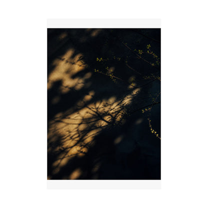 Shadow Play Spring Wall Art Print | Dark Japandi Bold Design